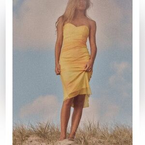 New with Tags Zara Elegant Yellow Strapless Tulle Dress Size M
